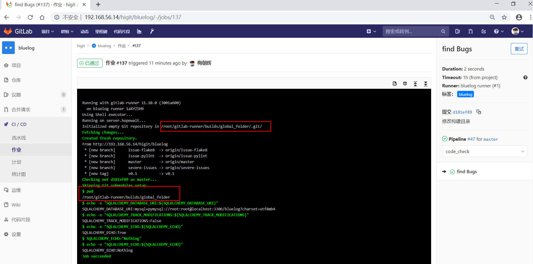 gitlab_bluelog_custom_build_directory_success_find_bugs_job_details.png