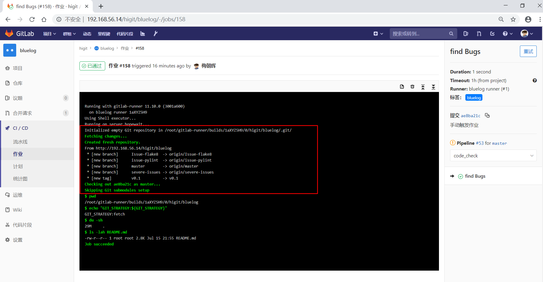 gitlab_bluelog_git_strategy_manual_pipeline_find_bugs_job.png