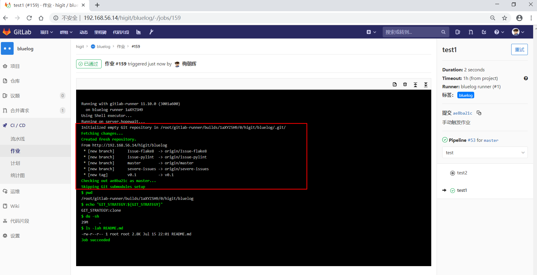 gitlab_bluelog_git_strategy_manual_pipeline_test1_job.png