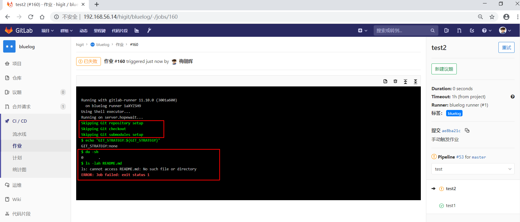 gitlab_bluelog_git_strategy_manual_pipeline_test2_job_failed.png