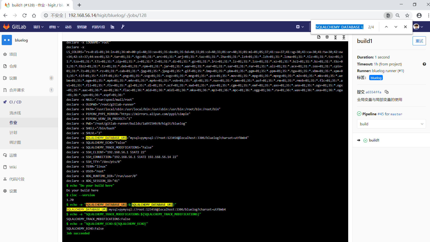 gitlab_bluelog_variables_job_build1.png