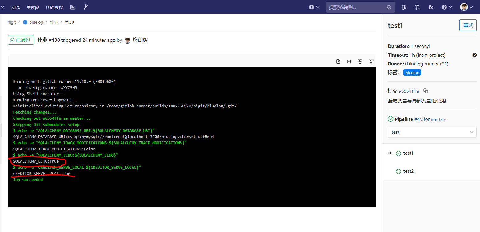 gitlab_bluelog_variables_job_test1.png